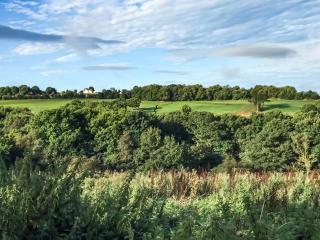 Serenity- Uk38551 - Endon - 7