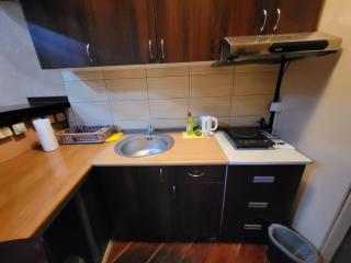 LENA Apartman 45m2 Sokobanja-CENTAR - Sokobanja - 1