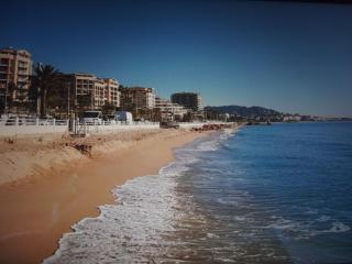 Mer et commerces 2 lits 1p 483 - Cannes - 5