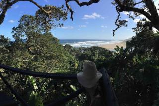 Amasundu Beach House Trafalgar - Southbroom - 1