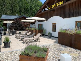 Die Filzmooserin Apartments - Filzmoos - 8