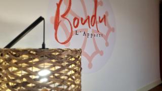 Boudu L'Appart ! Le Charme unique en hyper centre - 6