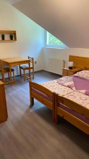Horské Apartmány Smrčina - Janské Lázně - 1