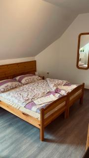 Horské Apartmány Smrčina - Janské Lázně - 1