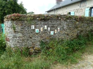 L' ALBIZIA - Saint-Martin-de-Sallen - 8