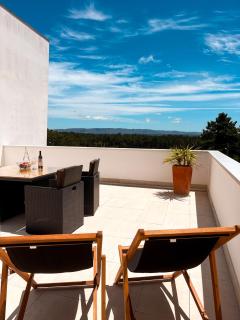 Edles Apartment in Architektenvilla mit großem Pool, Sauna, Dachterrasse und malerischem Garten - Pataias - 3