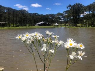 Cabana no Lago, Paz e Aconchego - São Joaquim - 6