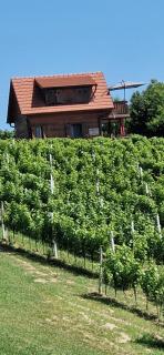 KUĆA ZA ODMOR LUCIJA - Čazma - 2