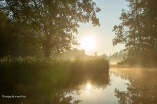 Camping Kleine Belterwijde, Haven Chalet - 2