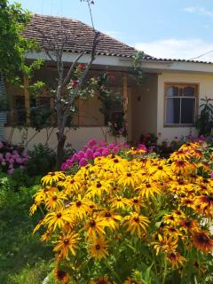 Dream House Oguz - Oghuz - 1