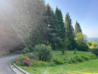Bodea Alpenblick - 5