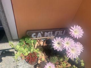 Cà del Fili - Lenno - 7