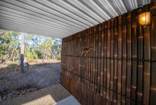 Kangaroo Kabin - Entire cabin, 5mins to the beach - 6