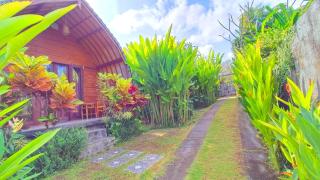 Morning Bali Bungalow - Canggu - 7