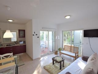 Spacious Apartment in Mandre with Terrace - Mandre - 1