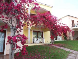 Apartment in Badus with communal Pool - 3