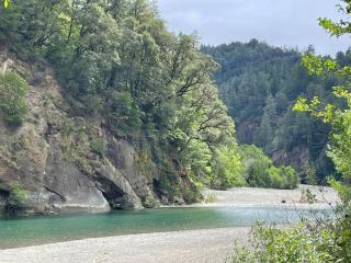 The Groves at Redway Beach - Studio - Redway - 9