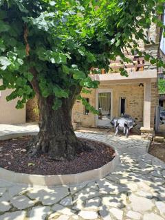 Gîte 2 "Le Tilia " aux magnolias 3 étoiles - Aubenas - 9