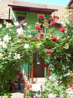 Sibiu Home 4 Green - Sibiu - 6