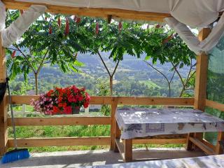 Natural House - Visoko - 1
