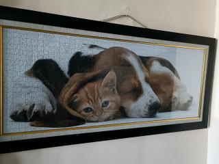 Unique Homestay 443 - Yogyakarta - 2