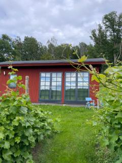 Gisebo Vingård - 2