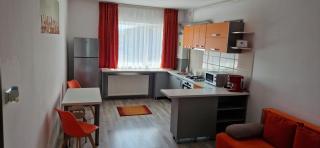 Friendly Rentals Vivamus - Braşov - 8