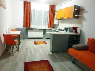 Friendly Rentals Vivamus - 7