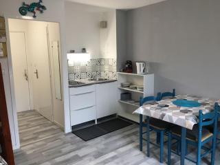 Studio duplex vue mer 100m de la plage - Saint-Nic - 5