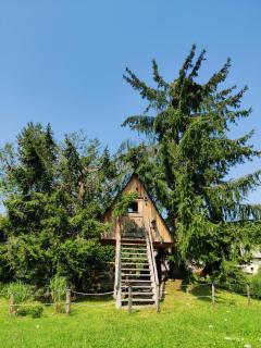 Zen among the trees - Stahovica - 0