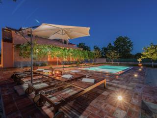 Charming holiday home with private pool - Donji Zemunik - 9