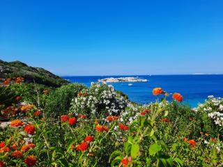 Villette Panoramiche Filetta - Santa Teresa di Gallura - 1