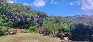 Villetta Giada - Capoliveri - 7