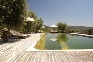Quinta Vila Rachel - Winery - São Mamede de Riba Tua - 2