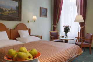 Hotel Pavlov - Karlovy Vary - 4