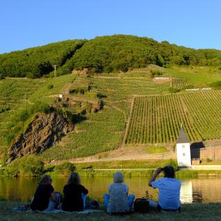 Gästehaus & Weingut Clüsserath-Weiler - Trittenheim - 8