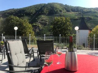 Gästehaus & Weingut Clüsserath-Weiler - Trittenheim - 9