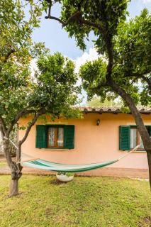 Peaceful Haven in Rome - Roma - 2