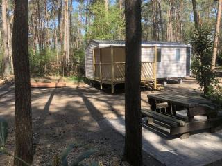 Nice chalet with deck, in the Antwerp Kempen - - 9