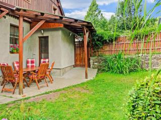 Lavish Cottage near Ski area in Cerny Dul - Černý Dŭl - 0