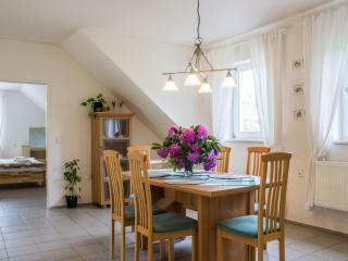 Villa in Nemojov near Giant Mountains - Nemojov - 8