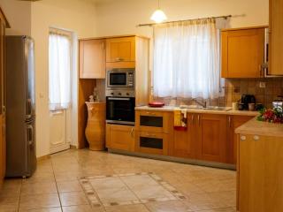 Grand villa on top of a hill with private pool - Ambelókipoi - 7