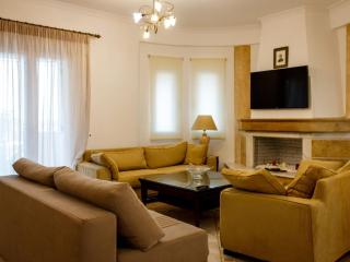 Grand villa on top of a hill with private pool - Ambelókipoi - 9