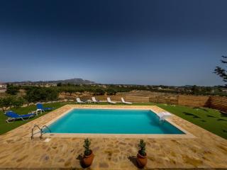 Grand villa on top of a hill with private pool - Ambelókipoi - 1