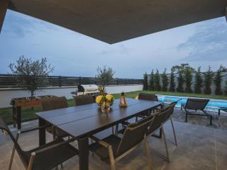 Modern villa with heated pool - Pula - 0