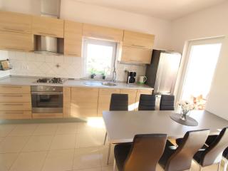 Spacious Villa with Private Swimming Pool - Debeljak - 1