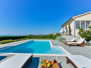 Spacious Villa with Private Swimming Pool - Debeljak - 9