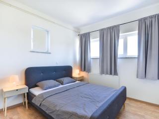 Spacious Villa with Private Swimming Pool - Debeljak - 5