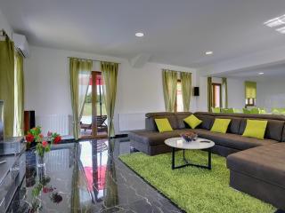 Villa with pool in Pazin - Pazin - 2