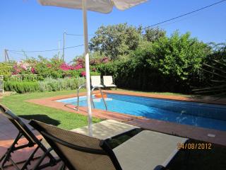 Beautiful villa with private pool in Rethymnon NW - Prinés - 1